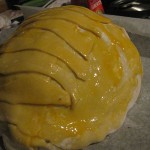 normal_IMG_4056